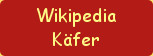 
Wikipedia
Käfer