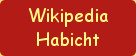 
Wikipedia 
Habicht